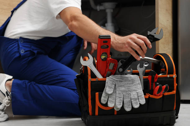 Best Commercial Plumbing Services  in Graysville, TN